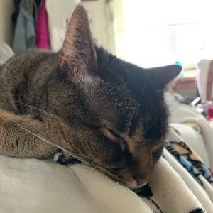 Meet your Posher, Brie